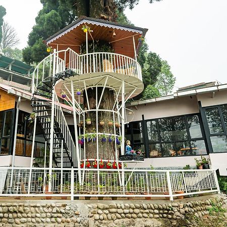 Arcadia Heritage Resort 다르질링 외부 사진